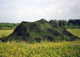 Военные (армейские) маскировочные сети в интернет-магазине в Перми, купить маскировочную сеть с доставкой картинка 106