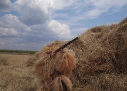 Маскировочная одежда для охоты в интернет-магазине в Перми, купить маскировочную сеть с доставкой картинка 28